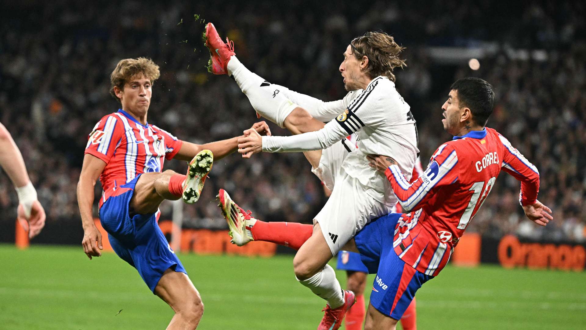 江蘇队整体 江蘇队整体